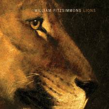 William Fitzsimmons : Lions